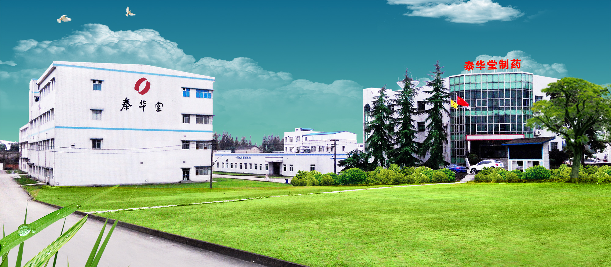 1519978715123006.jpg 泰華堂.jpg